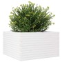 Jardinera de madera maciza de pino blanca 80x80x46 cm en Macetas y jardineras | Comprar online en Foru.es