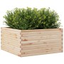 Jardinera de madera maciza de pino 90x90x46 cm en Macetas y jardineras | Comprar online en Foru.es