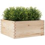 Jardinera de madera maciza de pino 100x100x46 cm en Macetas y jardineras | Comprar online en Foru.es