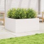 Jardinera madera maciza de pino blanco 100x100x46 cm en Macetas y jardineras | Comprar online en Foru.es