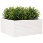 Jardinera madera maciza de pino blanco 100x100x46 cm en Macetas y jardineras | Comprar online en Foru.es