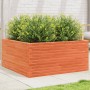 Jardinera de madera maciza pino marrón cera 100x100x46 cm en Macetas y jardineras | Comprar online en Foru.es