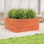 Jardinera de madera maciza pino marrón cera 100x100x46 cm en Macetas y jardineras | Comprar online en Foru.es