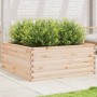 Jardinera de madera maciza de pino 110x110x46 cm en Macetas y jardineras | Comprar online en Foru.es