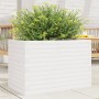 Jardinera de madera maciza de pino blanca 70x40x46 cm en Macetas y jardineras | Comprar online en Foru.es