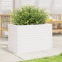 Jardinera de madera maciza de pino blanca 70x40x46 cm en Macetas y jardineras | Comprar online en Foru.es