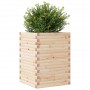 Jardinera de madera maciza de pino 50x50x68,5 cm en Macetas y jardineras | Comprar online en Foru.es