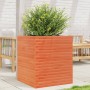 Jardinera de madera maciza de pino marrón cera 60x60x68,5 cm en Macetas y jardineras | Comprar online en Foru.es