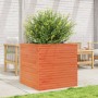 Jardinera de madera maciza de pino marrón cera 70x70x68,5 cm en Macetas y jardineras | Comprar online en Foru.es