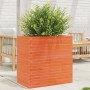 Jardinera madera maciza de pino marrón cera 70x40x68,5 cm en Macetas y jardineras | Comprar online en Foru.es