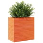 Jardinera madera maciza de pino marrón cera 70x40x68,5 cm en Macetas y jardineras | Comprar online en Foru.es