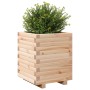 Jardinera madera maciza de pino 40x40x49,5 cm en Macetas y jardineras | Comprar online en Foru.es