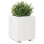 Jardinera madera maciza de pino blanco 40x40x49,5 cm en Macetas y jardineras | Comprar online en Foru.es