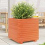 Jardinera madera maciza de pino marrón cera 50x50x49,5 cm en Macetas y jardineras | Comprar online en Foru.es