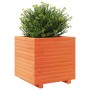 Jardinera madera maciza de pino marrón cera 50x50x49,5 cm en Macetas y jardineras | Comprar online en Foru.es