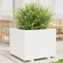 Jardinera madera maciza de pino blanco 60x60x49,5 cm en Macetas y jardineras | Comprar online en Foru.es