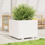 Jardinera madera maciza de pino blanco 60x60x49,5 cm en Macetas y jardineras | Comprar online en Foru.es