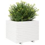 Jardinera madera maciza de pino blanco 60x60x49,5 cm en Macetas y jardineras | Comprar online en Foru.es
