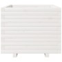 Jardinera madera maciza de pino blanco 60x60x49,5 cm en Macetas y jardineras | Comprar online en Foru.es