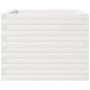 Jardinera madera maciza de pino blanco 60x60x49,5 cm en Macetas y jardineras | Comprar online en Foru.es