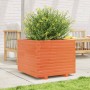 Jardinera madera maciza de pino marrón cera 60x60x49,5 cm en Macetas y jardineras | Comprar online en Foru.es