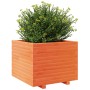 Jardinera madera maciza de pino marrón cera 60x60x49,5 cm en Macetas y jardineras | Comprar online en Foru.es