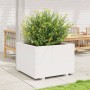 Jardinera madera maciza de pino blanco 70x70x49,5 cm en Macetas y jardineras | Comprar online en Foru.es