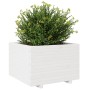 Jardinera madera maciza de pino blanco 70x70x49,5 cm en Macetas y jardineras | Comprar online en Foru.es