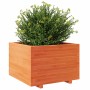 Jardinera madera maciza de pino marrón cera 70x70x49,5 cm en Macetas y jardineras | Comprar online en Foru.es