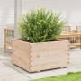 Jardinera madera maciza de pino 80x80x49,5 cm en Macetas y jardineras | Comprar online en Foru.es
