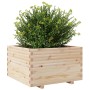 Jardinera madera maciza de pino 80x80x49,5 cm en Macetas y jardineras | Comprar online en Foru.es