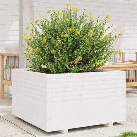 Jardinera madera maciza de pino blanco 80x80x49,5 cm en Macetas y jardineras | Comprar online en Foru.es