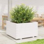 Jardinera madera maciza de pino blanco 80x80x49,5 cm en Macetas y jardineras | Comprar online en Foru.es