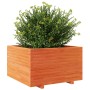 Jardinera madera maciza de pino marrón cera 80x80x49,5 cm en Macetas y jardineras | Comprar online en Foru.es
