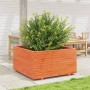 Jardinera madera maciza de pino marrón cera 90x90x49,5 cm en Macetas y jardineras | Comprar online en Foru.es