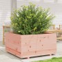 Jardinera madera maciza de abeto Douglas 90x90x49,5 cm en Macetas y jardineras | Comprar online en Foru.es