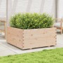 Jardinera madera maciza de pino 100x100x49,5 cm en Macetas y jardineras | Comprar online en Foru.es