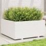 Jardinera madera maciza de pino blanco 100x100x49,5 cm en Macetas y jardineras | Comprar online en Foru.es