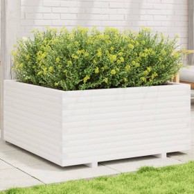 Jardinera madera maciza de pino blanco 100x100x49,5 cm en Macetas y jardineras | Comprar online en Foru.es