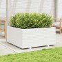 Jardinera madera maciza de pino blanco 100x100x49,5 cm en Macetas y jardineras | Comprar online en Foru.es