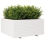 Jardinera madera maciza de pino blanco 100x100x49,5 cm en Macetas y jardineras | Comprar online en Foru.es