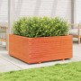 Jardinera madera maciza de pino marrón cera 100x100x49,5 cm en Macetas y jardineras | Comprar online en Foru.es