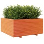 Jardinera madera maciza de pino marrón cera 100x100x49,5 cm en Macetas y jardineras | Comprar online en Foru.es