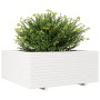 Jardinera madera maciza de pino blanco 110x110x49,5 cm en Macetas y jardineras | Comprar online en Foru.es