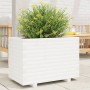 Jardinera madera maciza de pino blanco 70x40x49,5 cm en Macetas y jardineras | Comprar online en Foru.es
