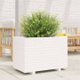 Jardinera madera maciza de pino blanco 70x40x49,5 cm en Macetas y jardineras | Comprar online en Foru.es