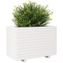 Jardinera madera maciza de pino blanco 70x40x49,5 cm en Macetas y jardineras | Comprar online en Foru.es