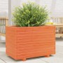 Jardinera madera maciza de pino marrón cera 70x40x49,5 cm en Macetas y jardineras | Comprar online en Foru.es