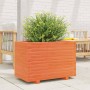 Jardinera madera maciza de pino marrón cera 70x40x49,5 cm en Macetas y jardineras | Comprar online en Foru.es