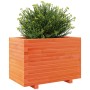Jardinera madera maciza de pino marrón cera 70x40x49,5 cm en Macetas y jardineras | Comprar online en Foru.es